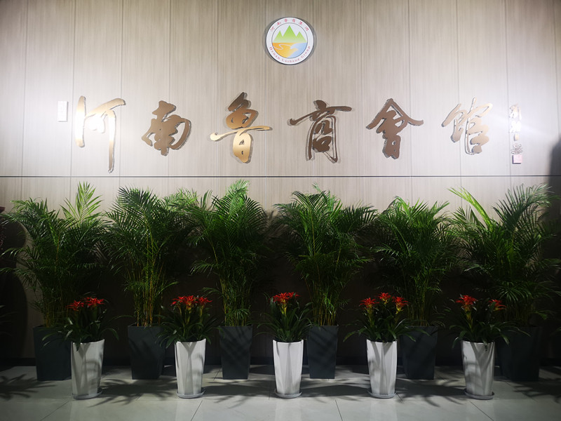 �������̕��^